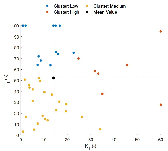 Personalising Motion Sickness Models - Estimation and Statistical Modeling of Individual-Specific Parameters